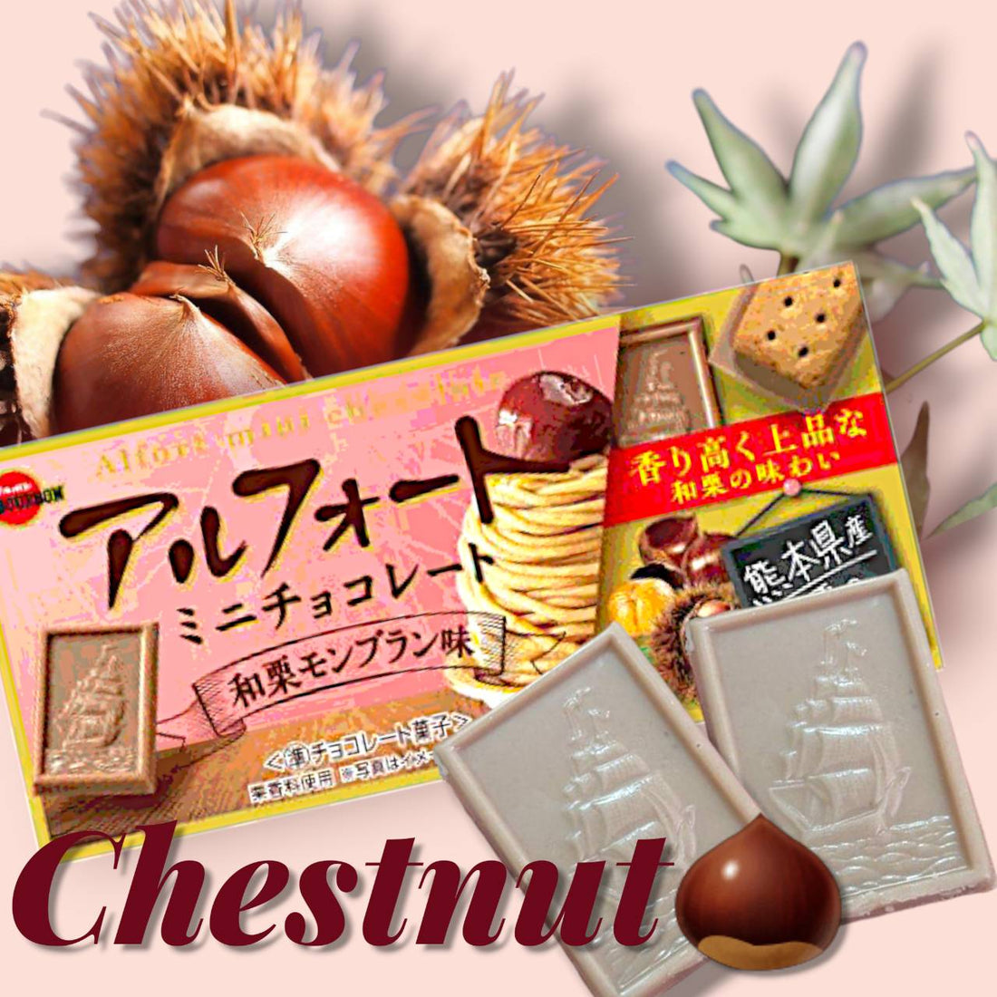 Close-up of Alfort Japanese Chestnut Mont Blanc biscuit and chocolate, showing the creamy chestnut layer and crisp biscuit texture.